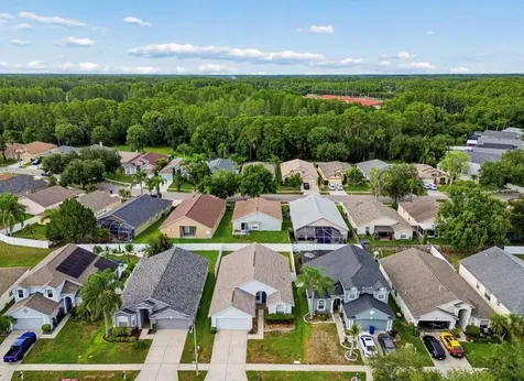 3814 Judson Drive Land O Lakes FL 34638