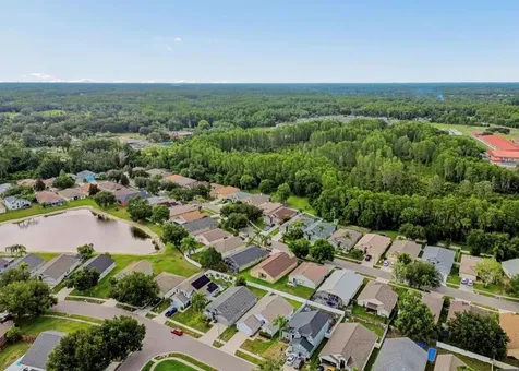 3814 Judson Drive Land O Lakes FL 34638