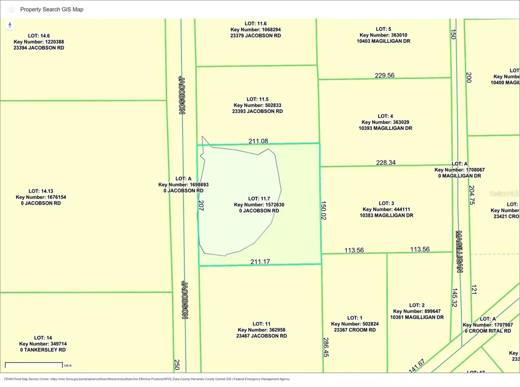 Jacobson Road Brooksville FL 34601