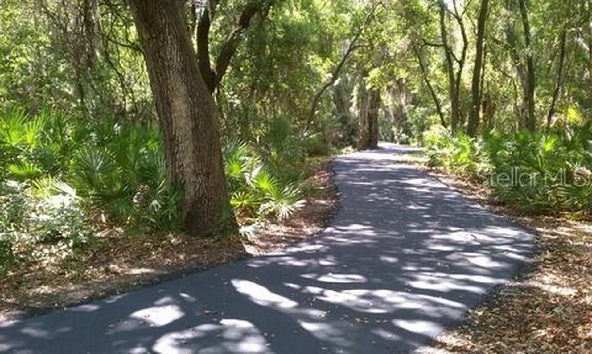 6921 Jamestown Manor Drive Riverview FL 33578
