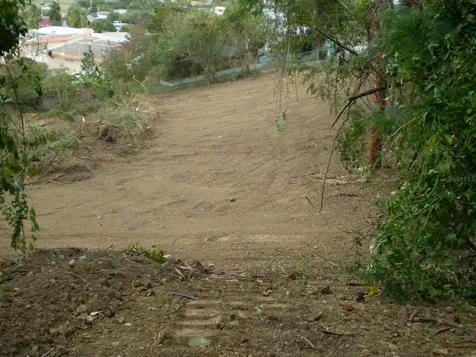 B La Roca Development Fajardo PR 00738