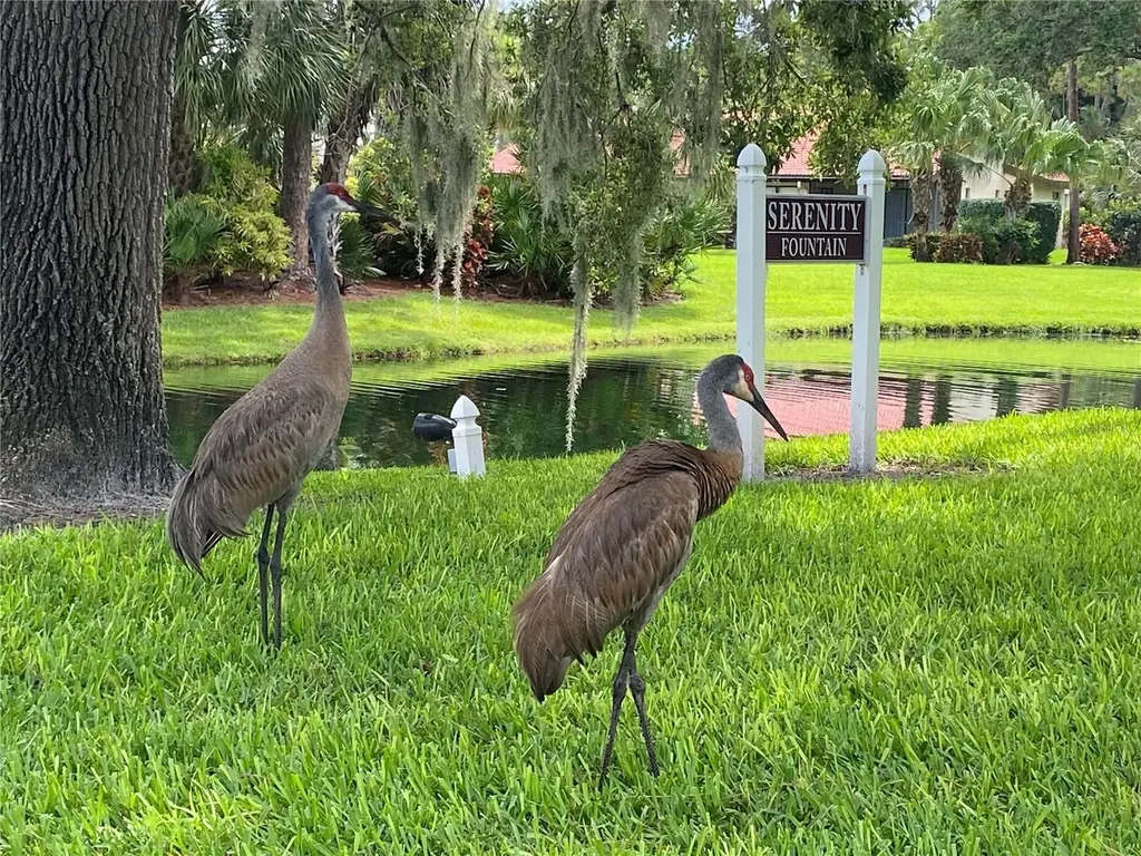 3637 Yellow Pine Court Sarasota FL 34238