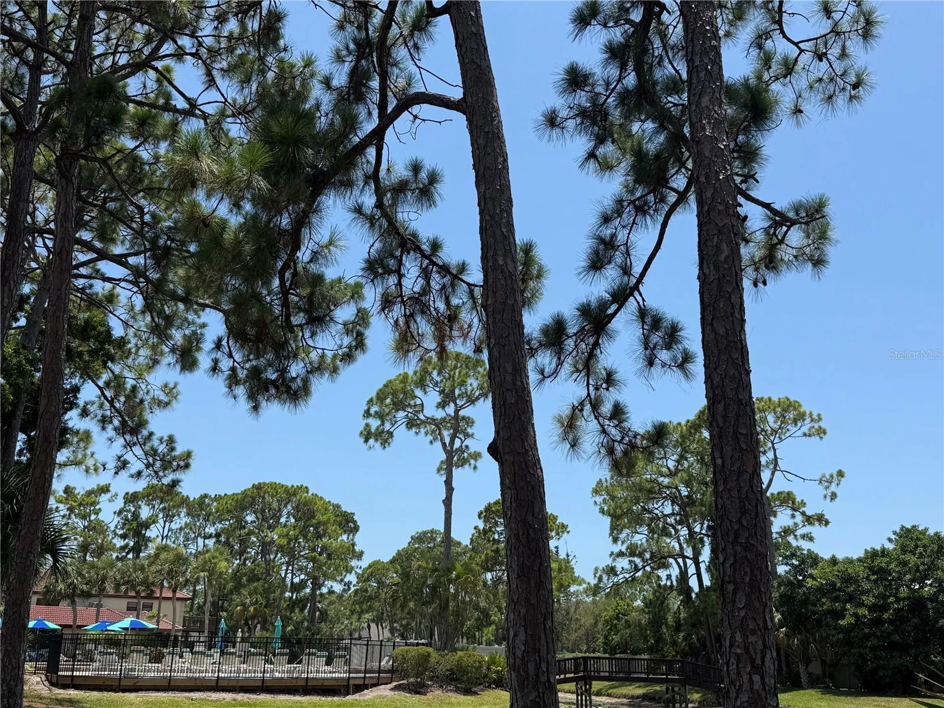 3637 Yellow Pine Court Sarasota FL 34238