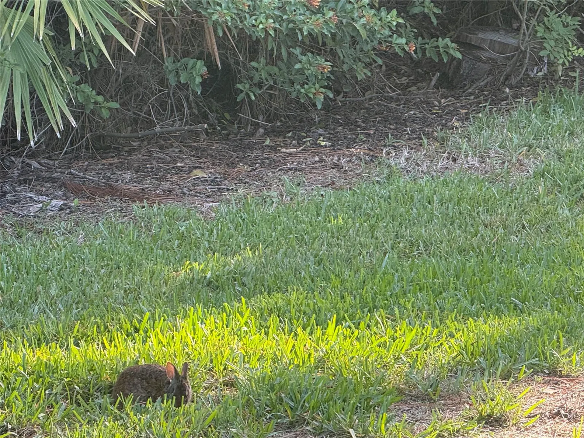 3637 Yellow Pine Court Sarasota FL 34238