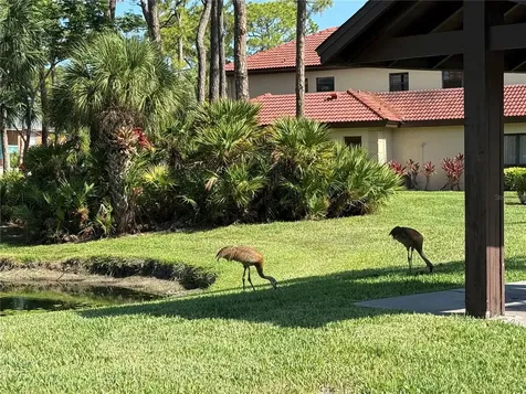 3637 Yellow Pine Court Sarasota FL 34238