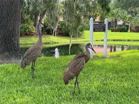 3637 Yellow Pine Court Sarasota FL 34238