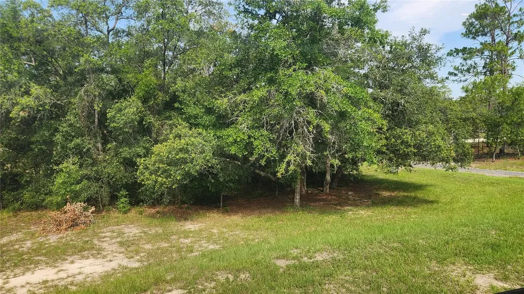 2251 SE 146th Circle Morriston FL 32668