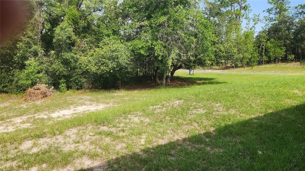 2251 SE 146th Circle Morriston FL 32668
