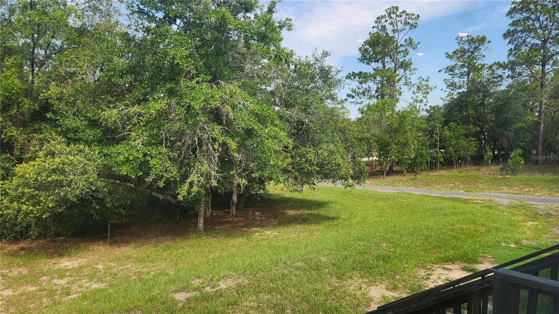 2251 SE 146th Circle Morriston FL 32668