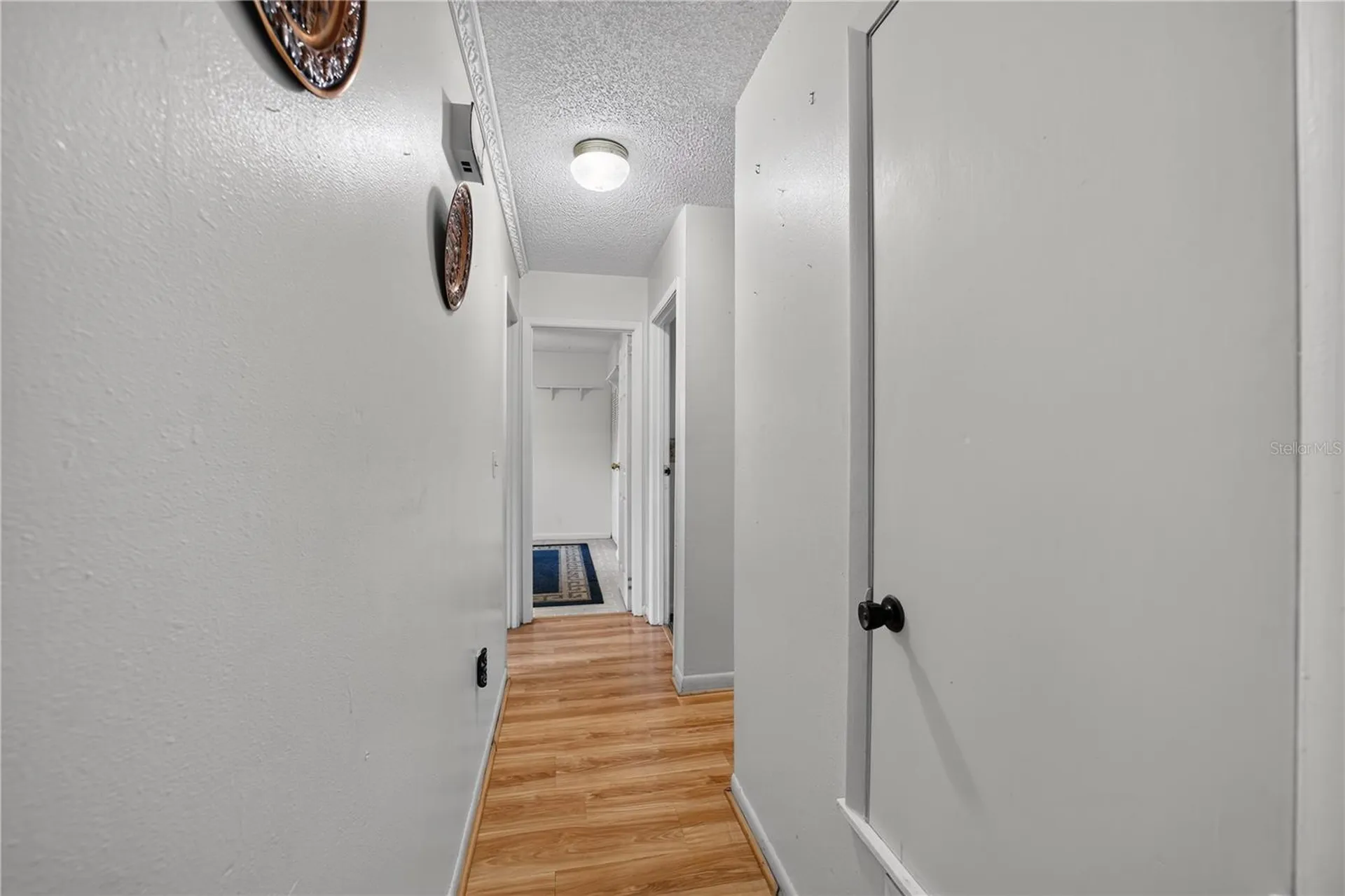 2875 NE 49th Street Ocala FL 34479