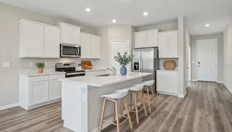 32744 Weathered Oak Drive Wesley Chapel FL 33543