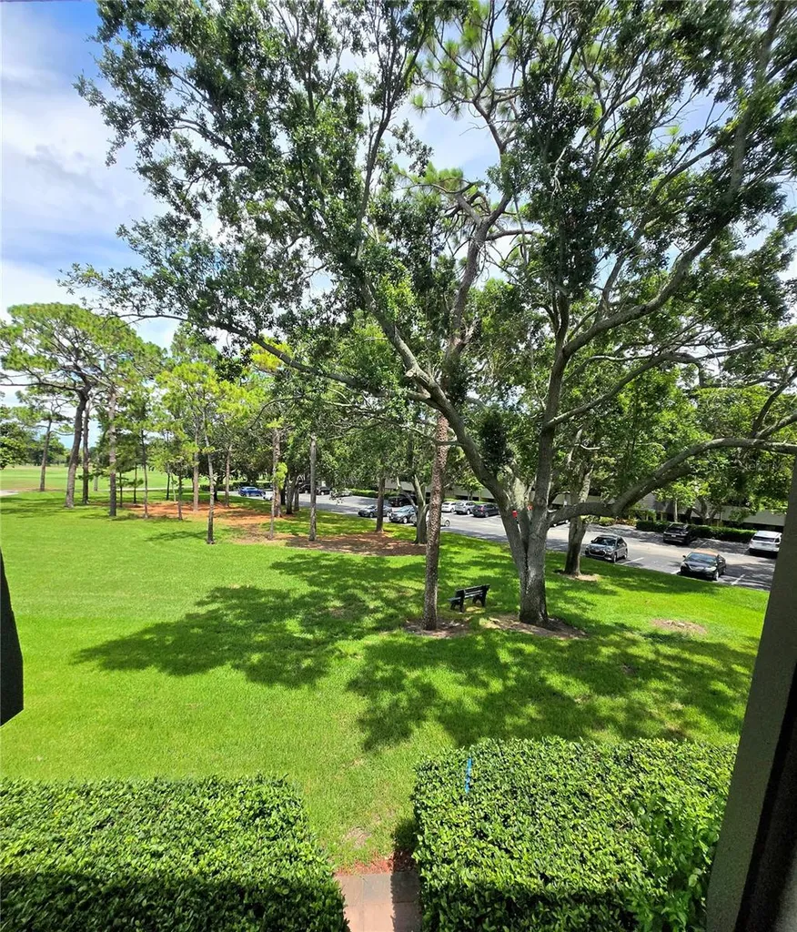 36750 Us Highway 19 N Palm Harbor FL 34683
