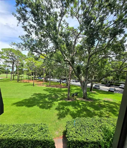 36750 Us Highway 19 N Palm Harbor FL 34683