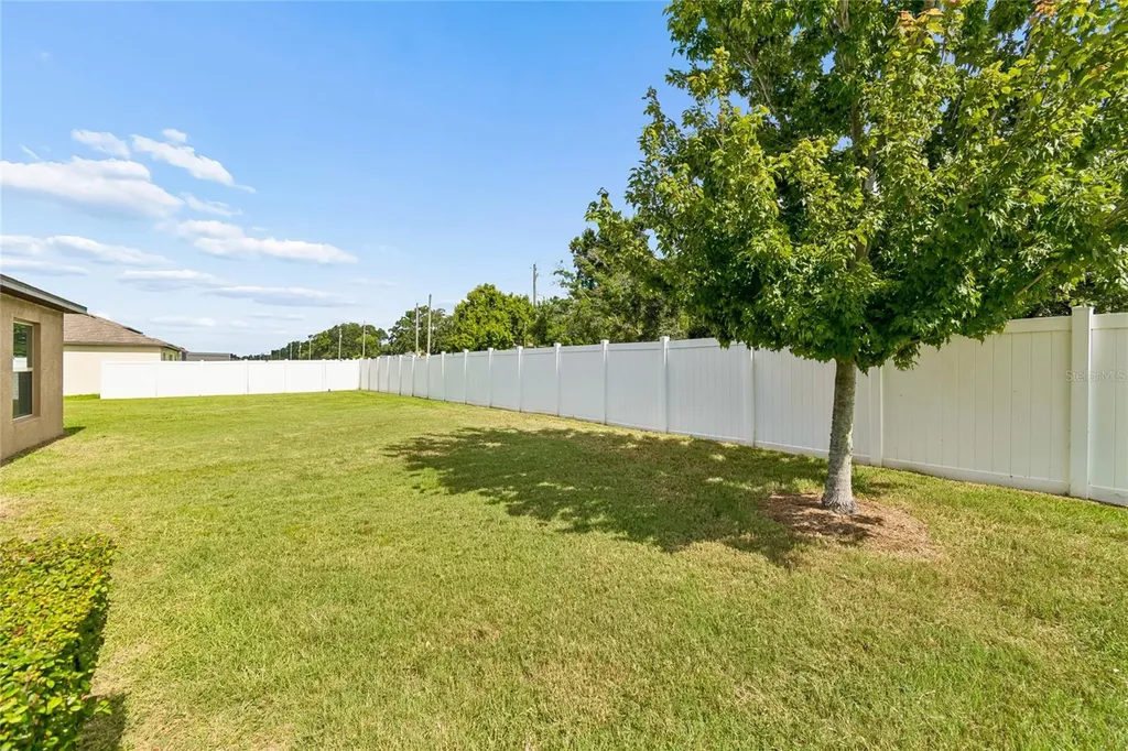 3706 Cat Mint Street Tampa FL 33619