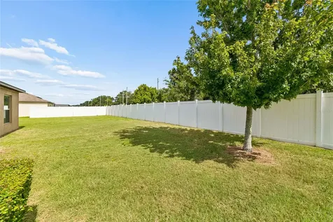 3706 Cat Mint Street Tampa FL 33619