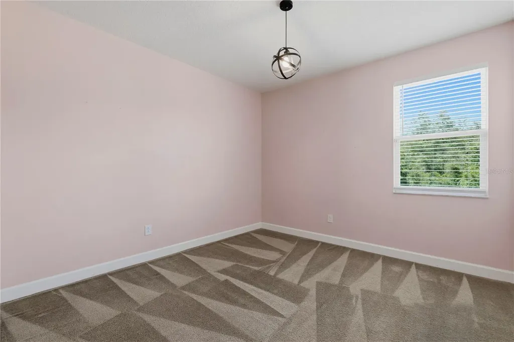 21439 Southern Charm Drive Land O Lakes FL 34637