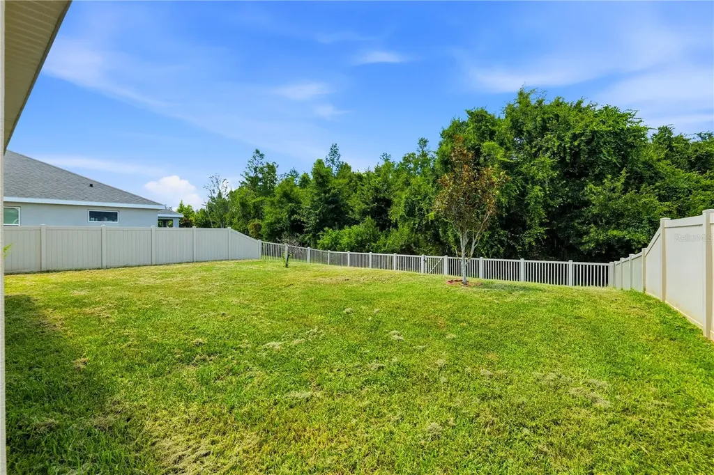 21439 Southern Charm Drive Land O Lakes FL 34637