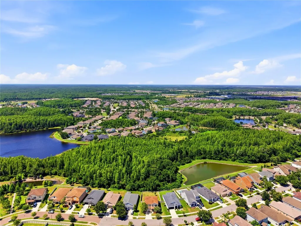 21439 Southern Charm Drive Land O Lakes FL 34637