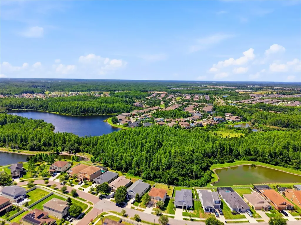 21439 Southern Charm Drive Land O Lakes FL 34637