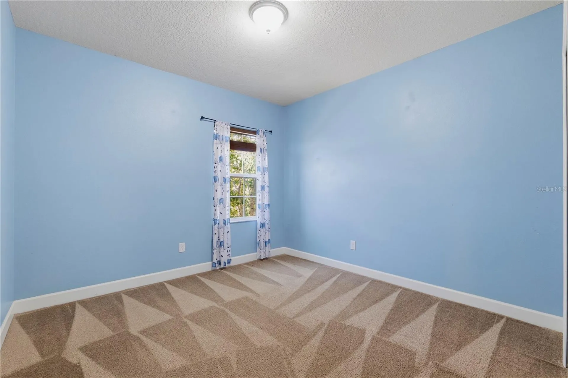 21439 Southern Charm Drive Land O Lakes FL 34637