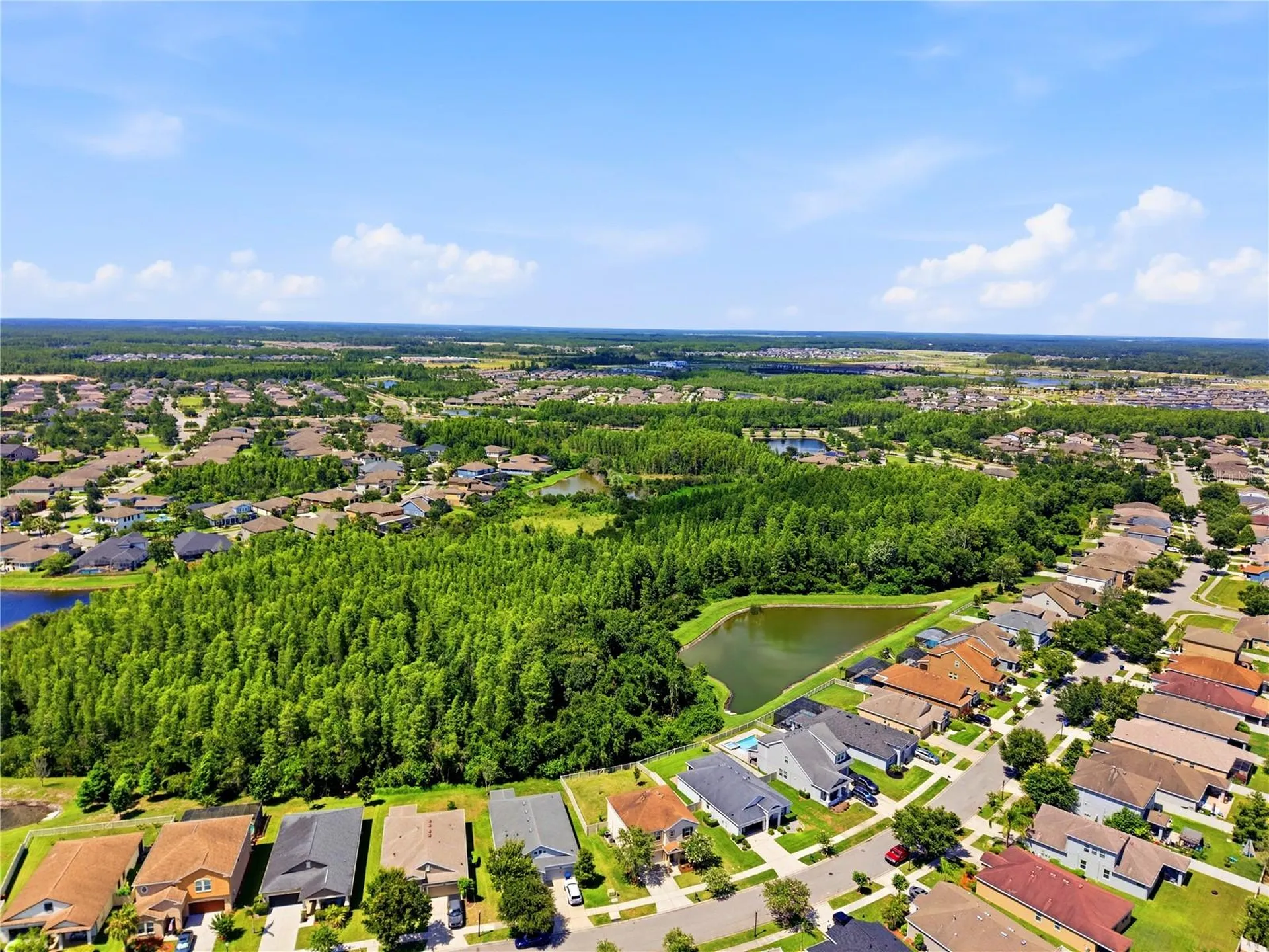 21439 Southern Charm Drive Land O Lakes FL 34637