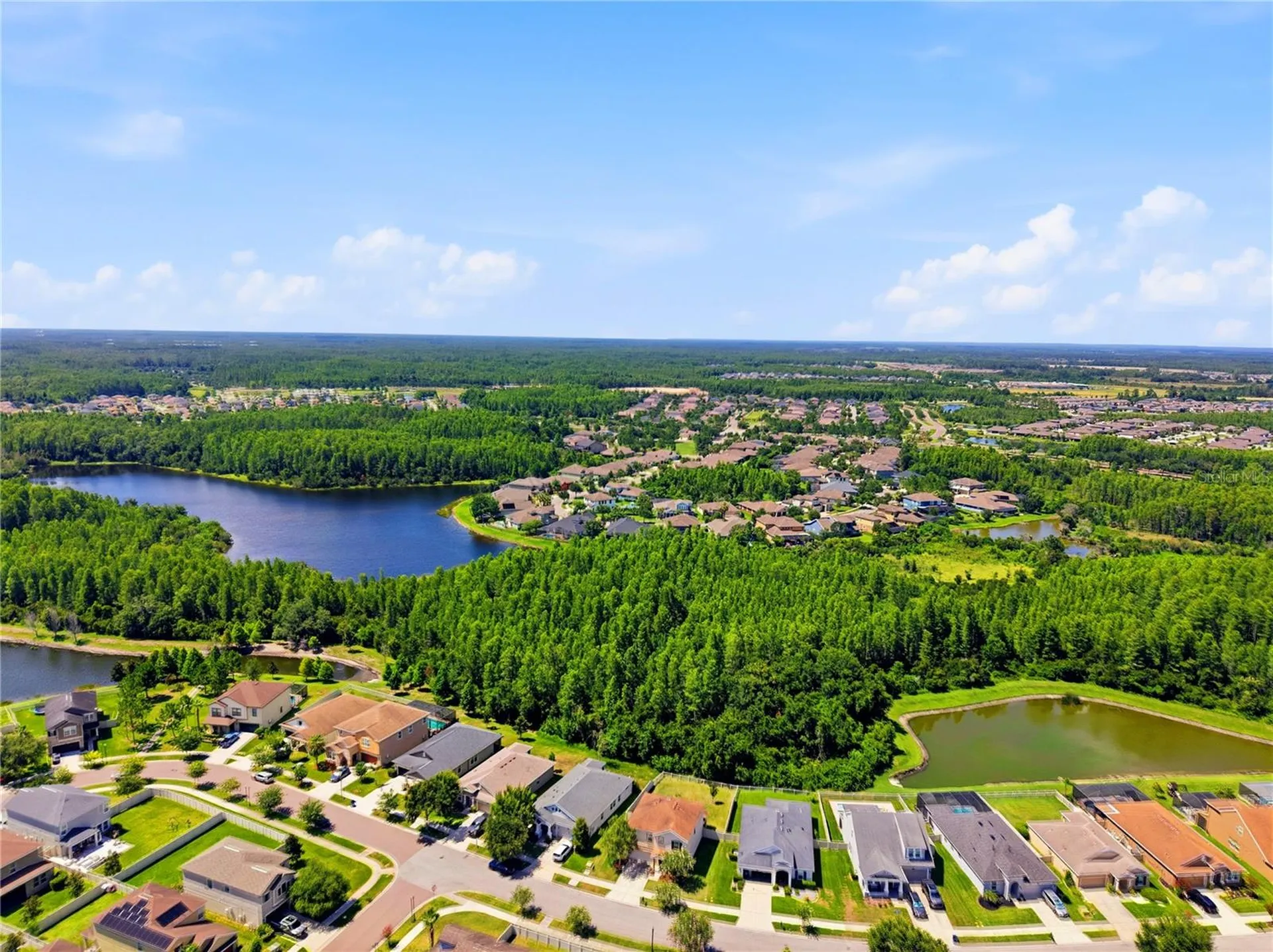 21439 Southern Charm Drive Land O Lakes FL 34637