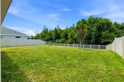 21439 Southern Charm Drive Land O Lakes FL 34637