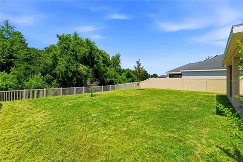21439 Southern Charm Drive Land O Lakes FL 34637