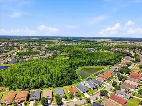 21439 Southern Charm Drive Land O Lakes FL 34637