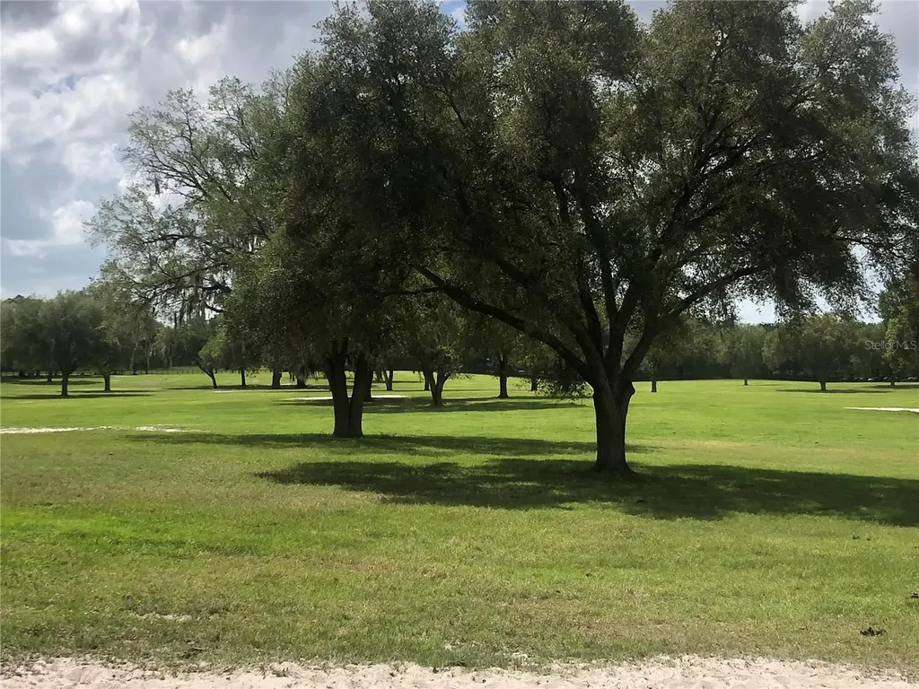 30TH Street Morriston FL 32668