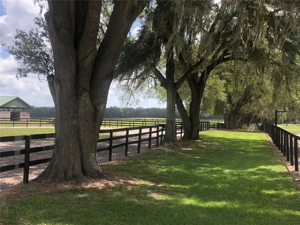 30TH Street Morriston FL 32668