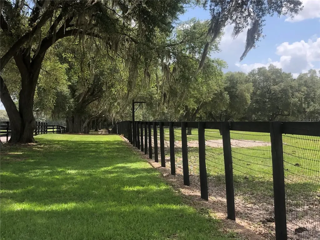 30TH Street Morriston FL 32668