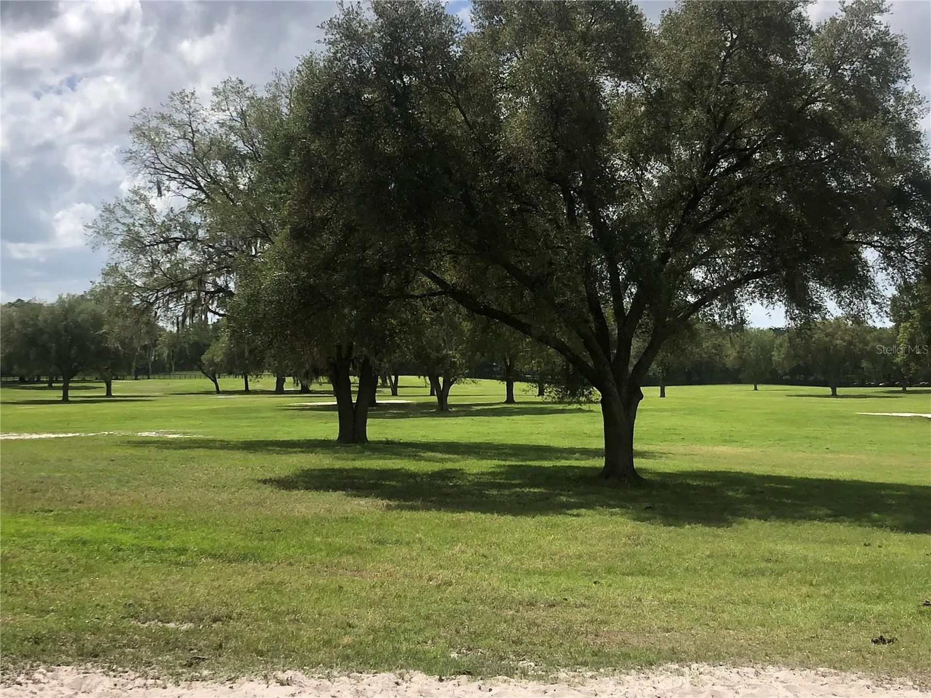30TH Street Morriston FL 32668