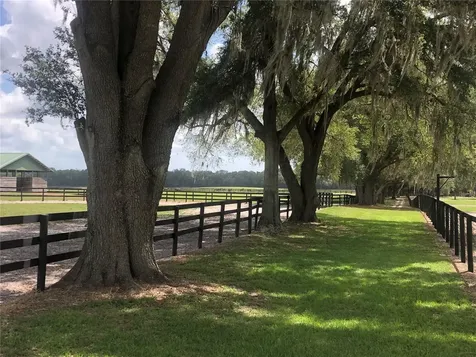 30TH Street Morriston FL 32668