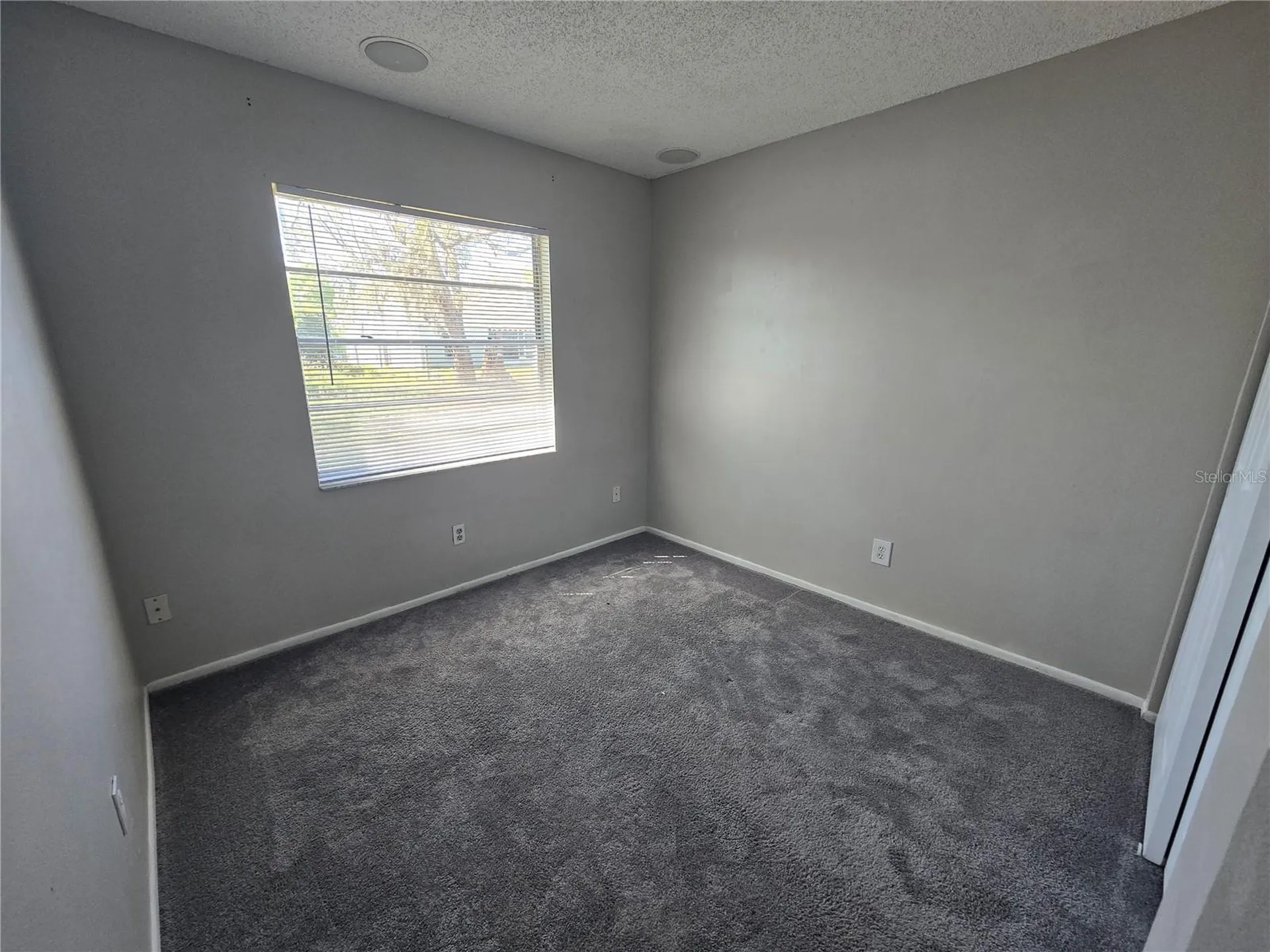 12109 Clearbrook Court Riverview FL 33569