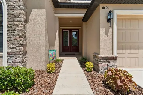 6601 Sparkling Way Wesley Chapel FL 33545
