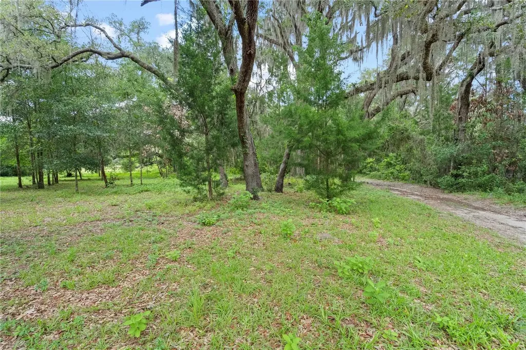 151 NE 164th Avenue Williston FL 32696