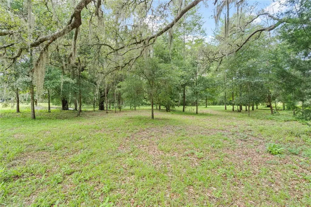 151 NE 164th Avenue Williston FL 32696