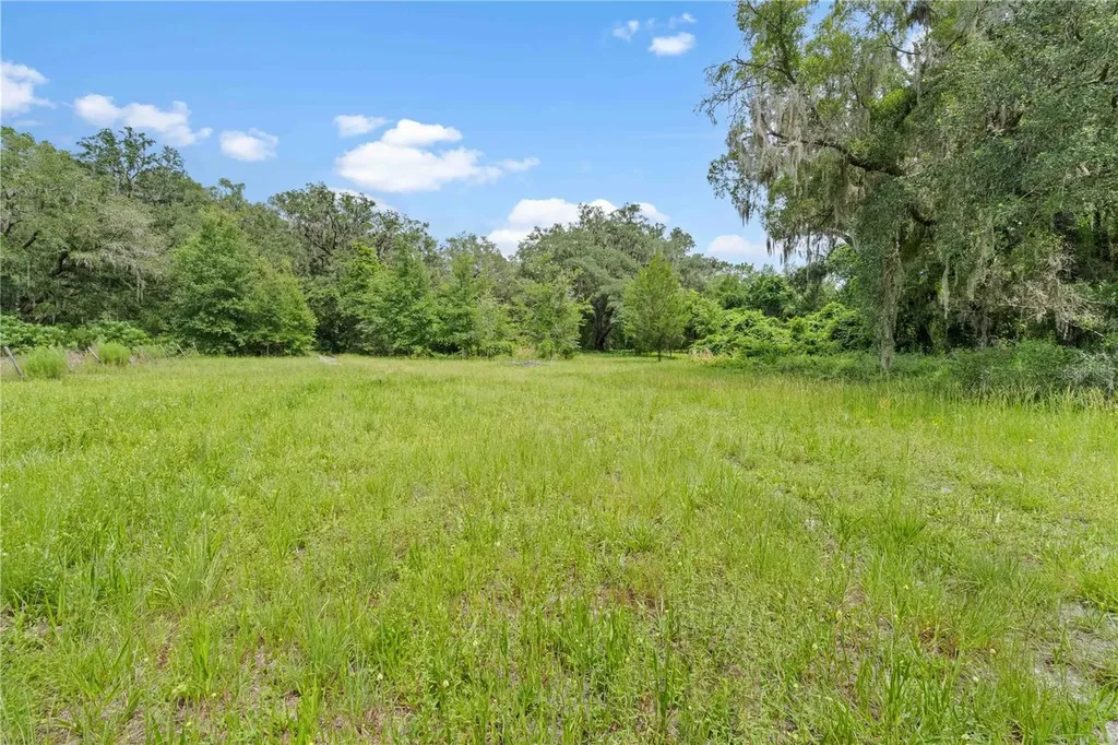 151 NE 164th Avenue Williston FL 32696