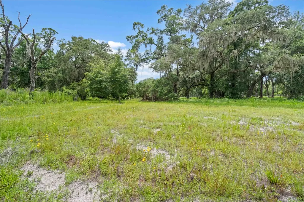 151 NE 164th Avenue Williston FL 32696