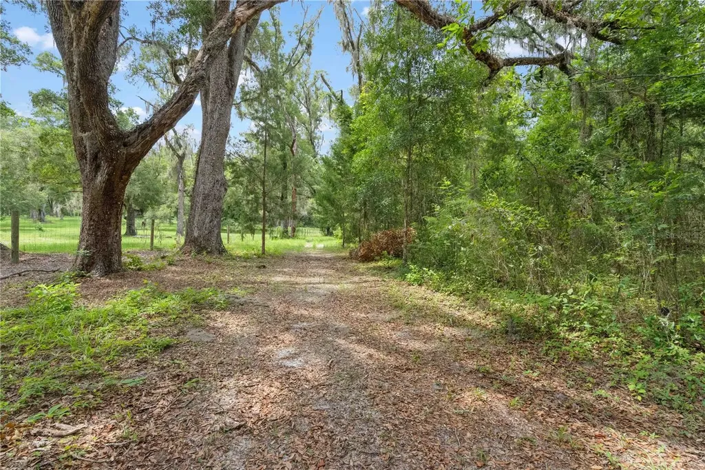 151 NE 164th Avenue Williston FL 32696