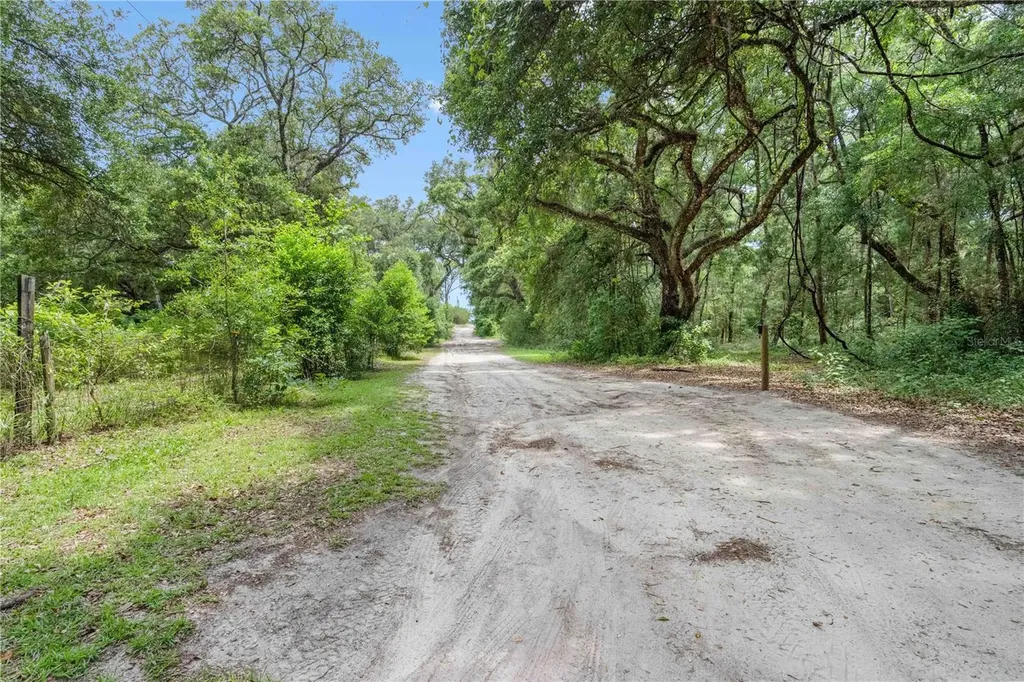 151 NE 164th Avenue Williston FL 32696