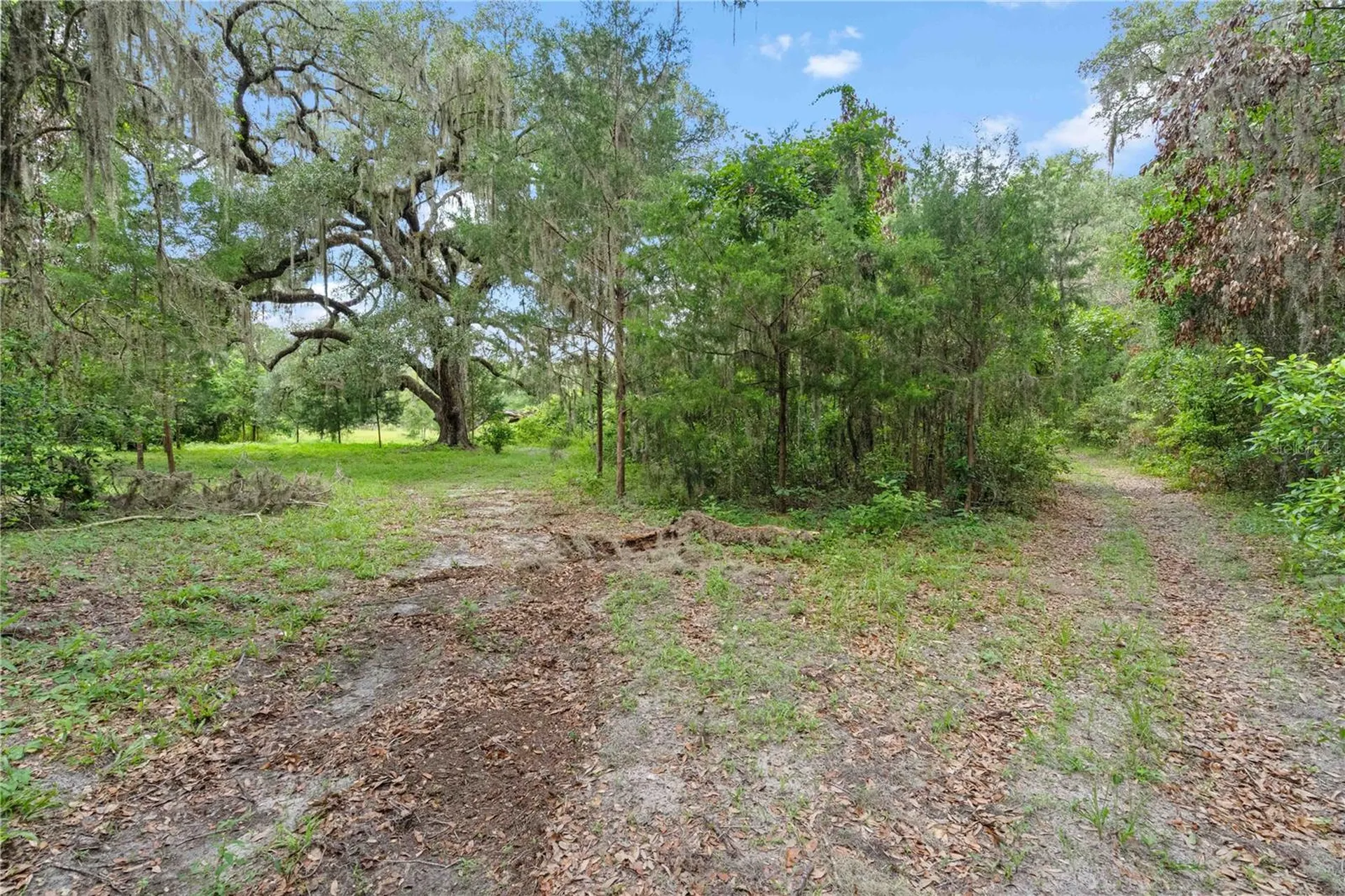 151 NE 164th Avenue Williston FL 32696