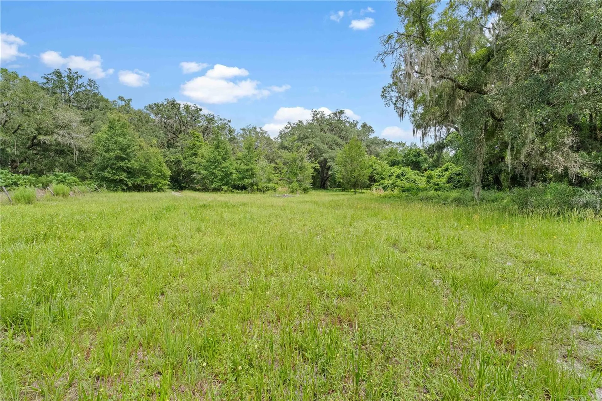 151 NE 164th Avenue Williston FL 32696
