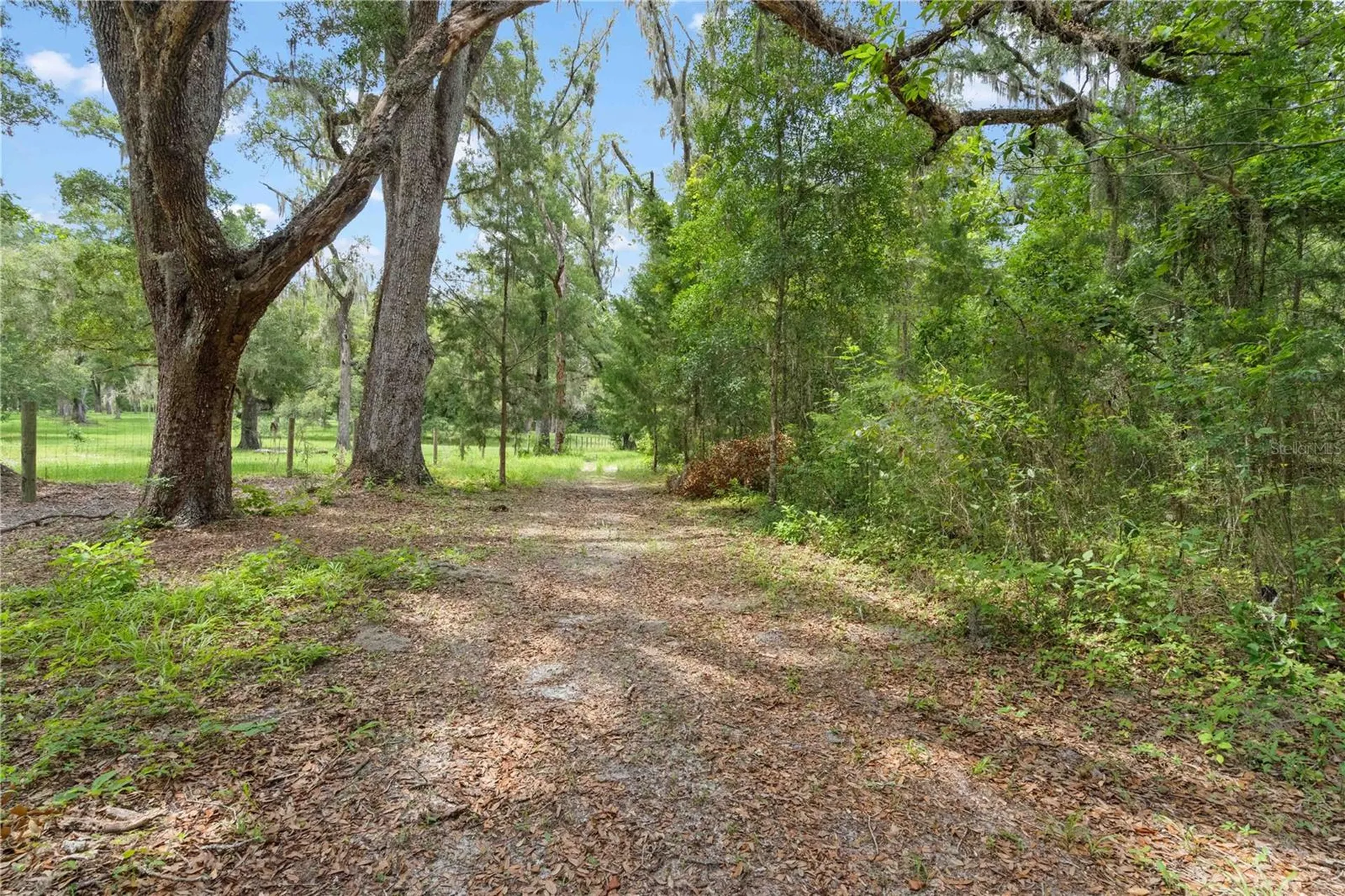 151 NE 164th Avenue Williston FL 32696