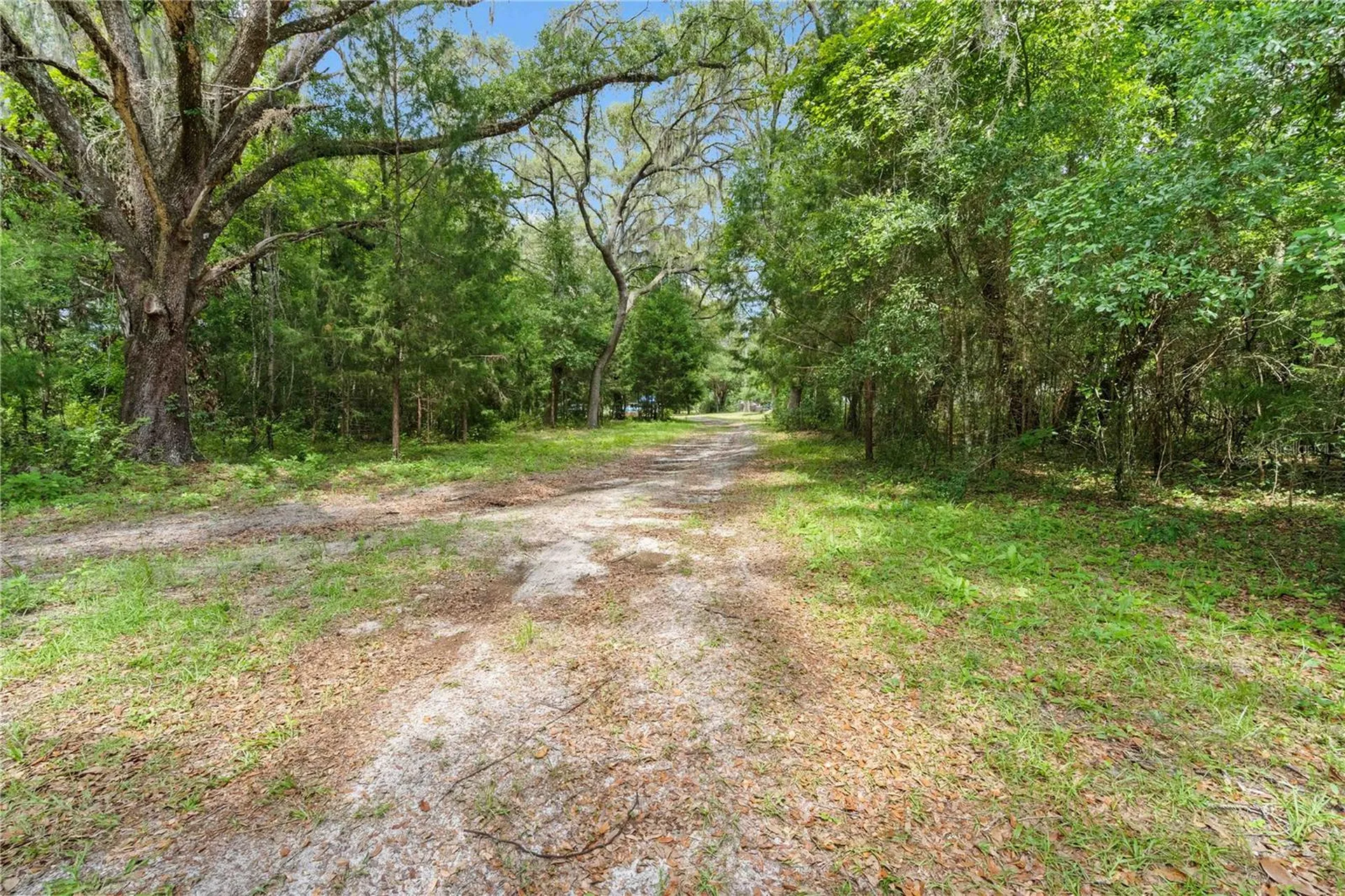 151 NE 164th Avenue Williston FL 32696