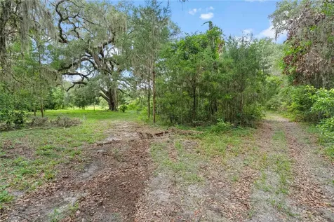 151 NE 164th Avenue Williston FL 32696