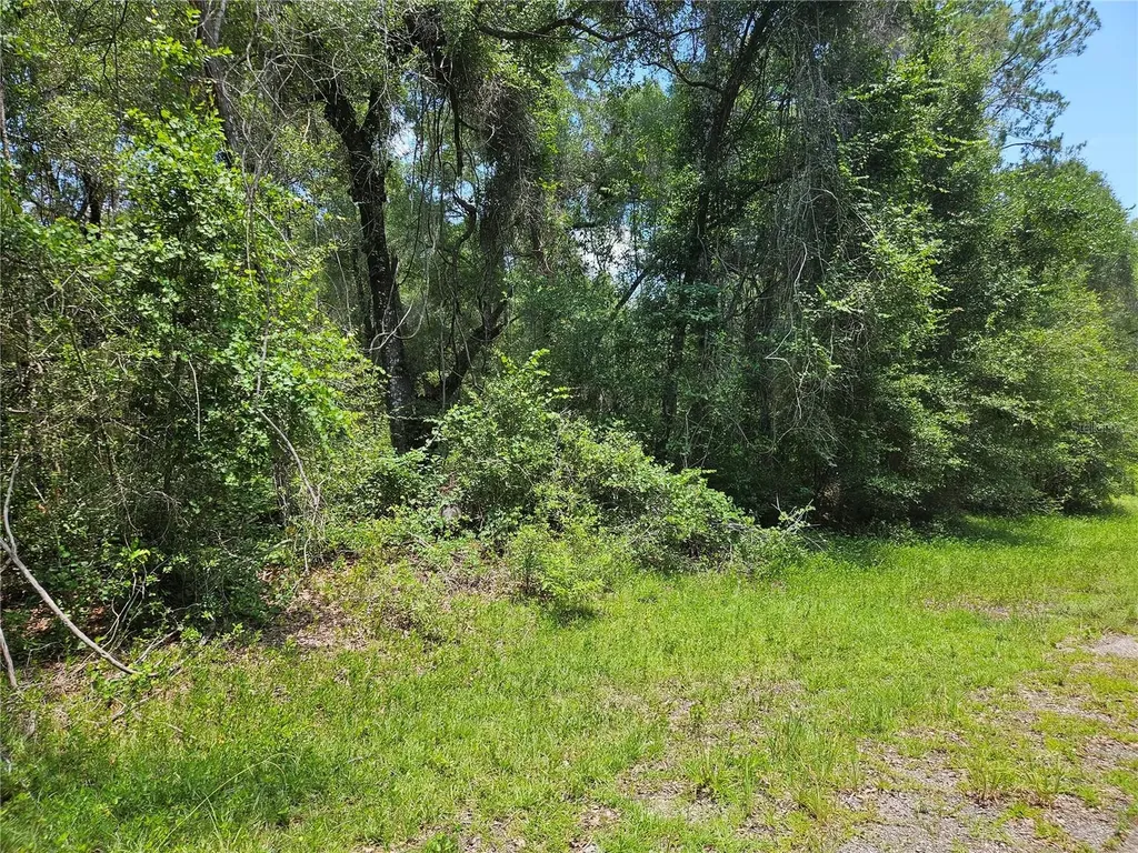 1582 Derby Drive Dunnellon FL 34434
