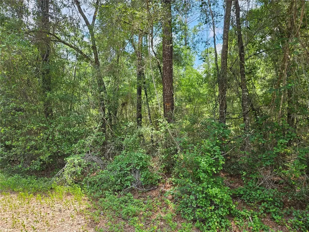 1582 Derby Drive Dunnellon FL 34434