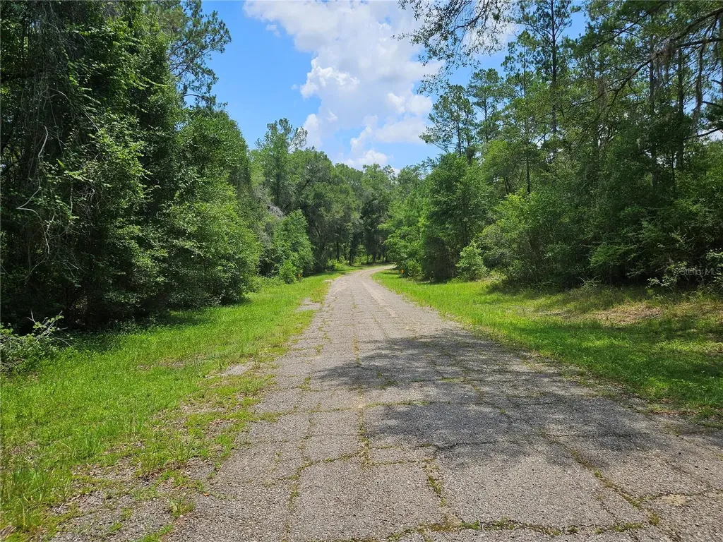 1582 Derby Drive Dunnellon FL 34434